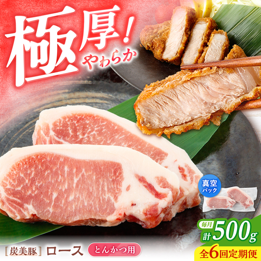 【6回定期便】西海市産 「炭美豚」 とんかつ用ロース500g（250g×2パック）＜宮本畜産＞ 豚肉 とんかつ用 豚 便利 ロース 冷凍 国産 料理 使いやすい 甘い ブランド豚 ポーク 長崎 西海[CFA063]