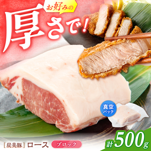 真空パック 豚ロース ブロック500g [CFA073] 豚肉 ロース