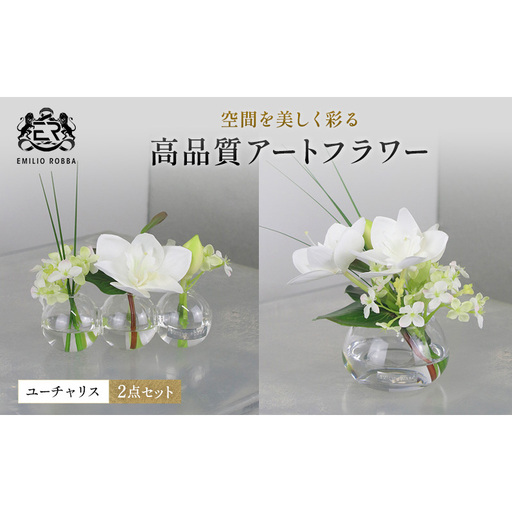 エミリオロバ ユーチャリス2点セット ユーチャリス3W24・S24 2点セット