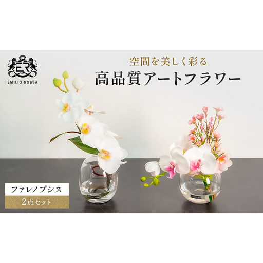 エミリオロバ ファレノプシス2点セット