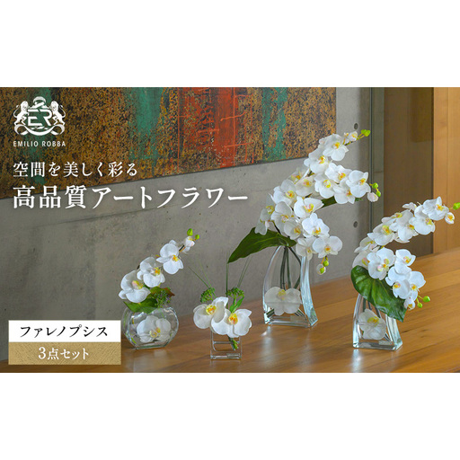エミリオロバ ファレノプシス4点セット