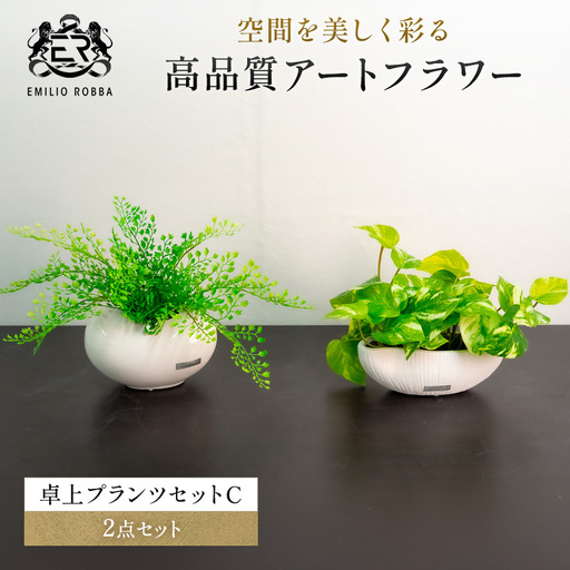 観葉植物 エミリオ・ロバ アジアンタム ポトス 2点セット 造花 シダ Sサイズ 卓上 フェイクグリーン アーティフィシャルグリーン 人工観葉植物 インテリア 水やり不要 テーブル リビング 玄関 ナチュラル ギフト 贈り物 三重県 名張市