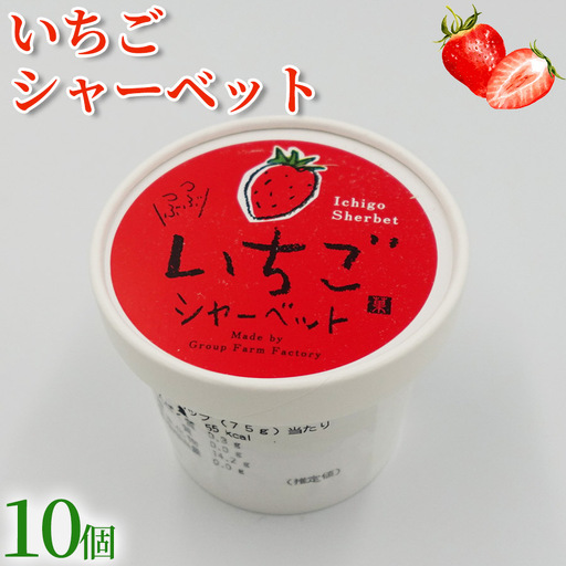 いちご シャーベット 100ml×10個 アイスクリーム シャーベットアイス [アイス]