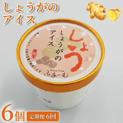 [アイス] しょうがのアイス 36個 100ml × 6個 6回定期便 アイスクリーム