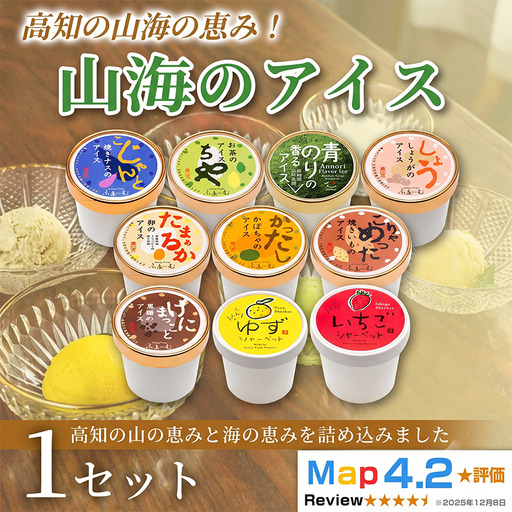 山海のアイス 100ml×10個 アイス