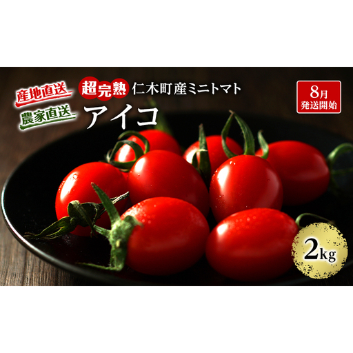 ミニトマト アイコ 農薬不使用 北海道産 ミニトマト【2kg(1kg×2箱)】