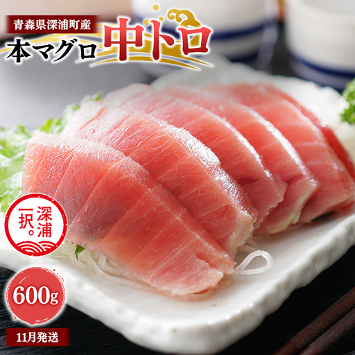  天然本マグロ 中トロ 600g 200g×3 【fu-0015-016_11】