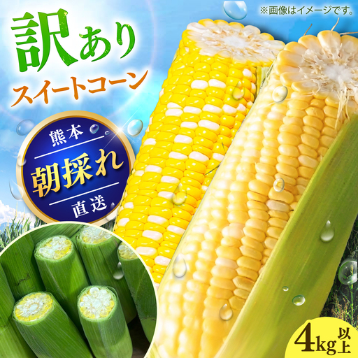 【先行予約】【2027年6月上旬より順次発送】【訳あり】スイートコーン(品種問わず) 4kg以上(10～20本) / 甘々娘 ドルチェドリーム プレミアム味来 熊本県 菊陽町【なかむら農園】[BHCJ005]