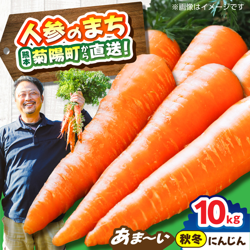 【先行予約】【12月中旬より順次発送】菊陽秋冬にんじん 秀品 約10kg / にんじん 菊陽にんじん 西洋にんじん ニンジン 人参 野菜 熊本 菊陽 【マツモト：ファーム】[BHDH009]