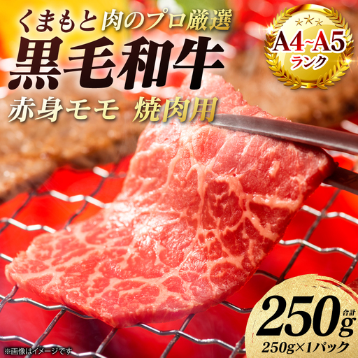 牛肉 くまもと黒毛和牛 赤身 モモ 焼肉用 250g (250g×1パック) A4〜A5ランク 牛肉