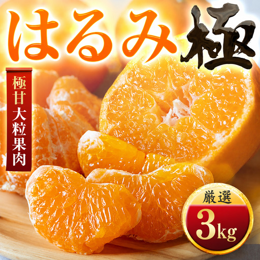 [先行受付][果汁あふれる]とろ甘食感 はるみ 3kg 愛媛県産[49-122][1756045]
