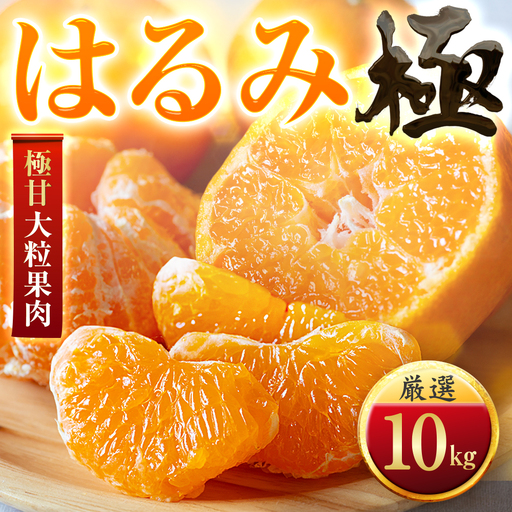 【先行受付】【果汁あふれる】とろ甘食感 はるみ　10kg　愛媛県産【49-119】【1741173】YWTZ092