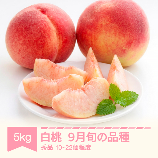 桃 品種おまかせ 9月旬の白桃 秀品 約5kg (10～22個程度) nf-mohtx5-9f