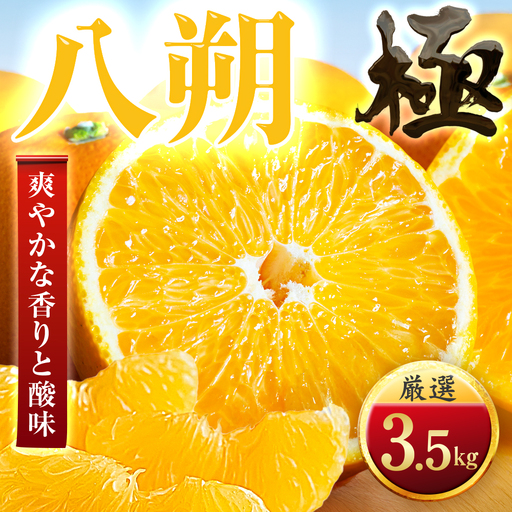 【先行受付】【ほろ苦さが旨い】大人の柑橘 八朔　3.5kg　愛媛県産【49-118】【1741174】YWTZ093