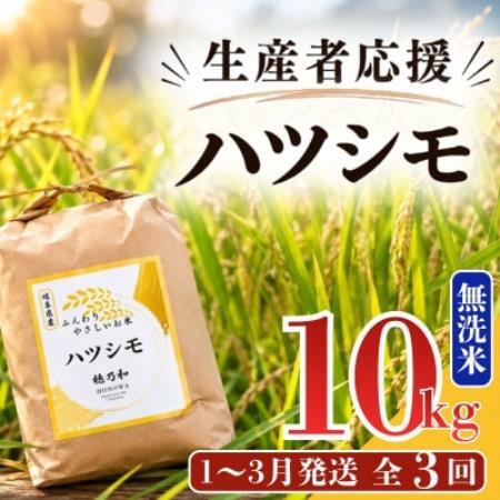 【発送月固定定期便】【先行予約】生産者応援!岐阜県産ハツシモ(無洗米)10kg【1～3月】全3回【配送不可地域：離島】【4089359】