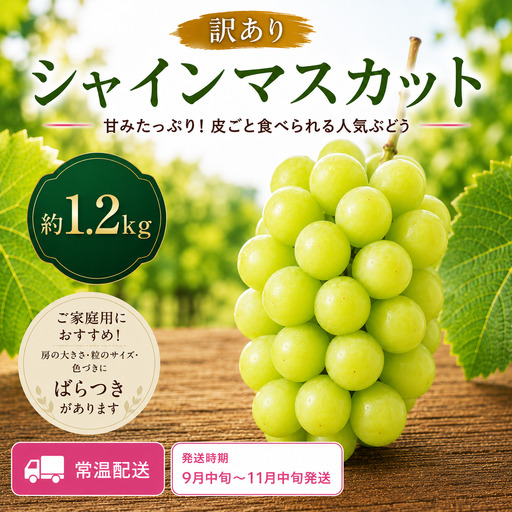 [訳あり] 家庭用シャインマスカット 約1.2kg|味はそのまま・ご家庭用におすすめ(常温配送)[9月中旬-11月中旬出荷予定]期間限定 フルーツ 果物 ぶどう ブドウ 神石高原町 広島県