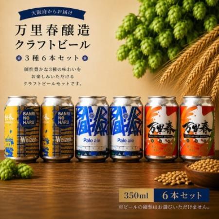 【ブルワー厳選】 万里春醸造クラフトビール 3種飲み比べ 6本セット【配送不可地域：離島】【1754514】