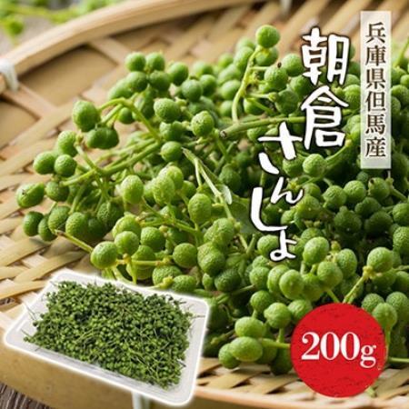 2027年先行予約5月下旬～発送 朝倉さんしょ 200g 生 実山椒 クール便冷蔵 兵庫県産 直送【配送不可地域：離島】【1746873】