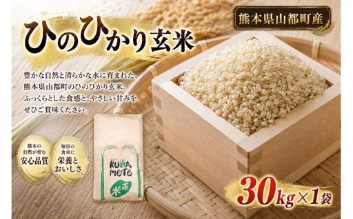 [ 令和7年度産 ] 熊本県山都町産 ひのひかり 玄米30kg × 1 米 お米 おこめ こめ コメ ヒノヒカリ ご飯 ごはん ライス おにぎり 弁当