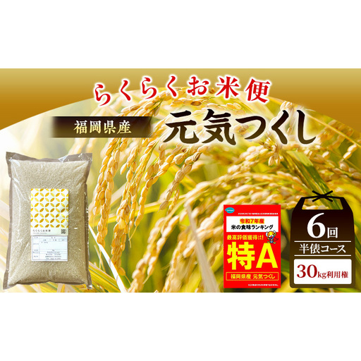 米 らくらくお米便 計30kg 元気つくし ( 5kg × 6回 )
