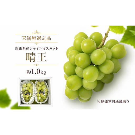 【天満屋選定品】岡山県産 シャインマスカット 晴王 約1.0kg（2026年発送）