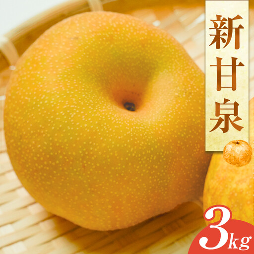 新甘泉（しんかんせん３ｋｇ（ＪＡ）　※2026年8月中旬～9月上旬頃に順次発送予定