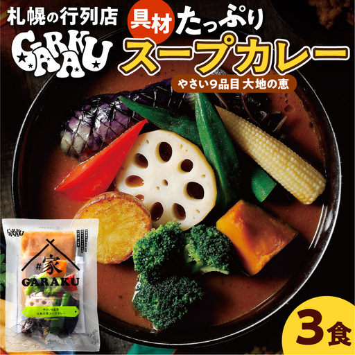 家GARAKU やさい9品目大地の恵スープカレー | スープカレー GARAKU 札幌スープカレー カレー 北海道 札幌市