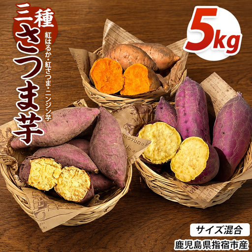 [2026年10月上旬〜順次発送][訳あり]鹿児島県産 さつまいも 3種詰め合わせ 約5kg (アグリファースト/IB162-001)