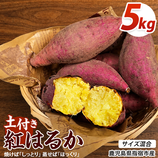 【2026年10月上旬～順次発送】＜訳あり＞鹿児島県産さつまいも 紅はるか 約5kg (アグリファースト/IB162-002)
