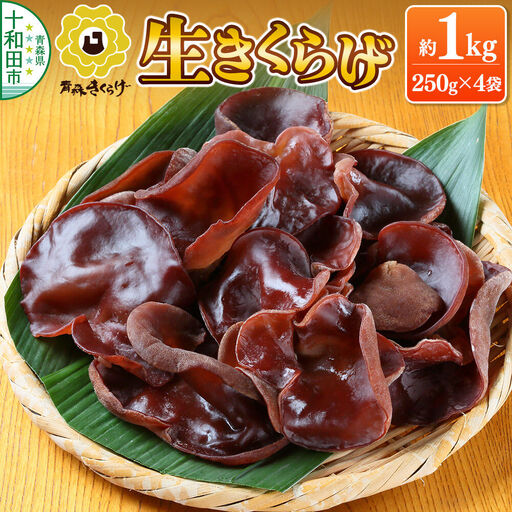 青森きくらげ（生キクラゲ）約1kg（約250g×4袋）十和田市産