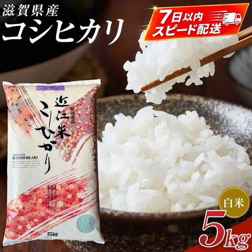 【令和7年産】近江米コシヒカリ白米5kg