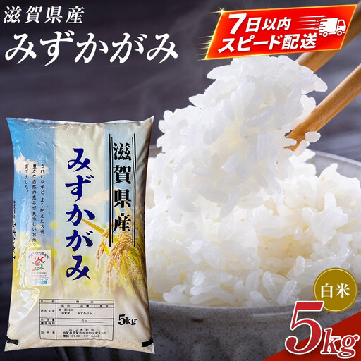 【令和7年産】近江米みずかがみ白米5kg