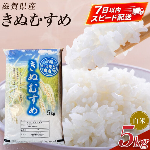 [令和7年産]近江米きぬむすめ白米5kg