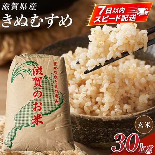 【令和7年産】近江米きぬむすめ玄米30kg