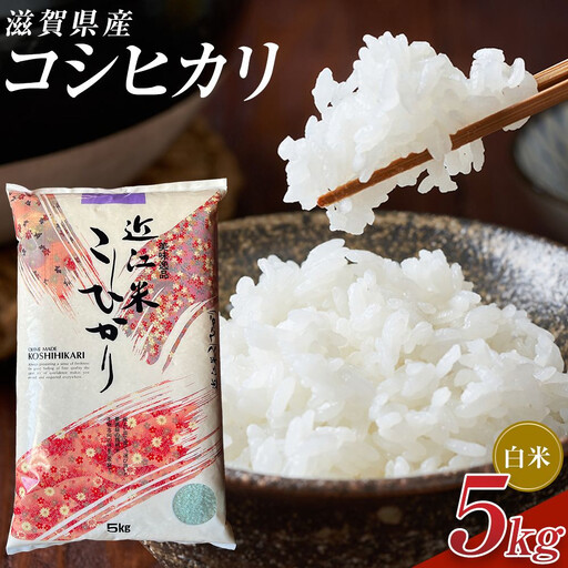 [令和8年産 新米 先行予約]近江米コシヒカリ白米5kg※2026年9月〜発送