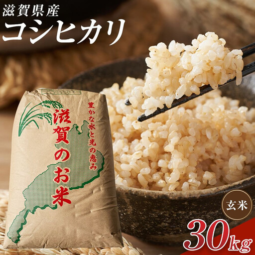 [令和8年産 新米 先行予約]近江米コシヒカリ玄米30kg※2026年9月〜発送