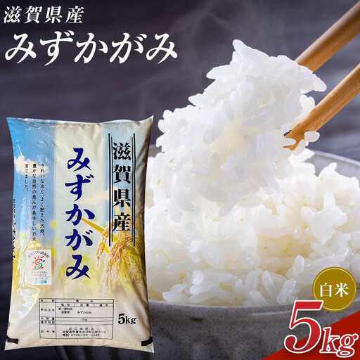 [令和8年産 新米 先行予約]近江米みずかがみ白米5kg※2026年9月〜発送