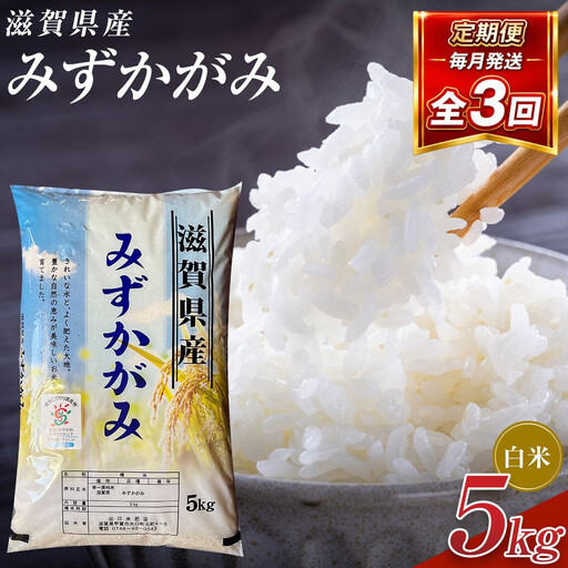 [令和8年産 新米 先行予約]近江米みずかがみ白米5kg×3回定期便※2026年9月〜発送