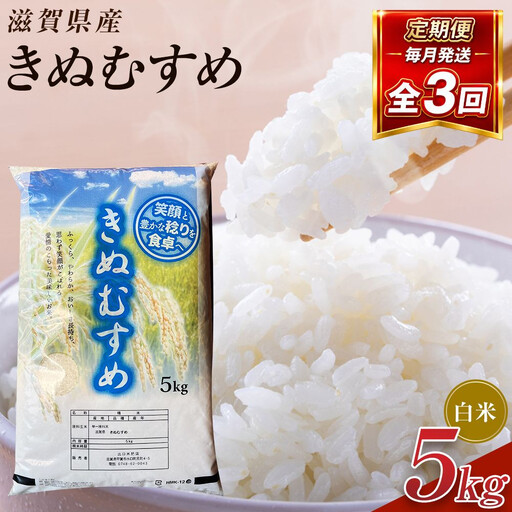 [令和8年産 新米 先行予約]近江米きぬむすめ白米5kg×3回定期便※2026年9月〜発送