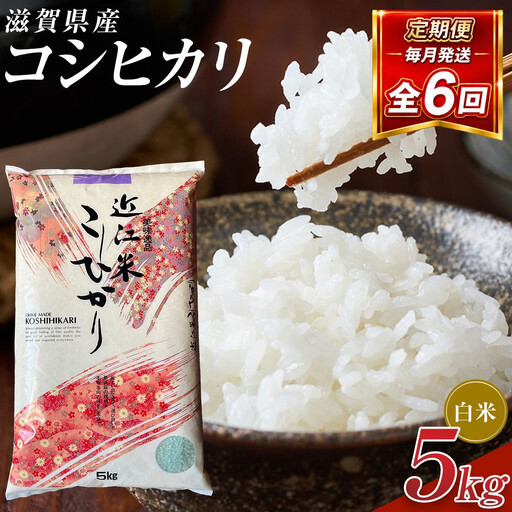 ☆Iku☆出品　白米　コシヒカリ 令和8年産 新米 先行予約】近江米コシヒカリ白米5kg×6回定期便※2026年9