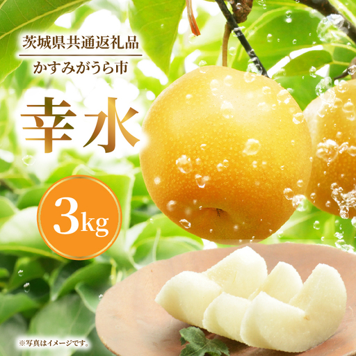 [8月上旬より発送][数量限定]採れたて 梨 幸水 3kg(茨城県共通返礼品/かすみがうら市)(FW-13)