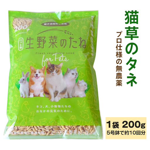 プロ仕様の無農薬 猫草のタネ 1袋 200g (5号鉢で約10回分) [1213]
