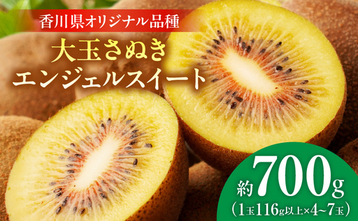 【先行受付】大玉さぬきエンジェルスイートキウイ　約700g以上【香川県共通返礼品】|さぬき エンジェルスイート 果物 フルーツ 大玉 人気 香川 香川県 三木町 厳選 追熟 ジューシー 糖度が高い 先行受付 先行予約 季節限定 旬 おすすめ|_mk006-134
