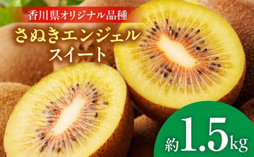 【先行受付】さぬきエンジェルスイートキウイ　約1.5kg【香川県共通返礼品】|さぬき エンジェルスイート 果物 フルーツ 人気 香川 香川県 三木町 厳選 追熟 ジューシー 糖度が高い 先行受付 先行予約 季節限定 旬 おすすめ|_mk006-135