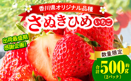 【先行予約】【出荷最盛期・感謝企画】数量限定!!さぬきひめいちご　約500g | スイーツ いちご ストロベリー さぬきひめ 苺 冷蔵 フルーツ 旬 果物 青果 青果物 お裾分け ギフト 香川県 デザート 青果物 先行予約 季節限定 旬 おすすめ 三木町 |_mk006-140