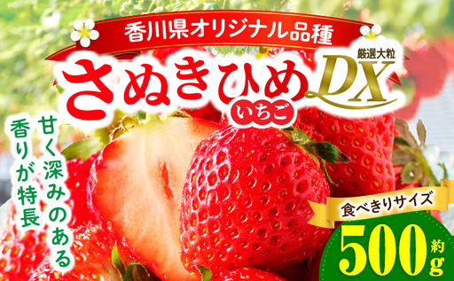 【先行予約】【食べきりサイズ】さぬきひめいちごDXパック　約500g | スイーツ いちご ストロベリー さぬきひめ 苺 冷蔵 フルーツ 旬 果物 青果 青果物 お裾分け ギフト 香川県 デザート 青果物 先行予約 季節限定 旬 おすすめ 三木町 |_mk006-141