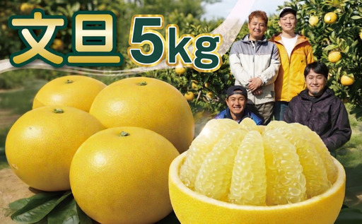 文旦 芳醇な 土佐文旦 5kg 家庭用