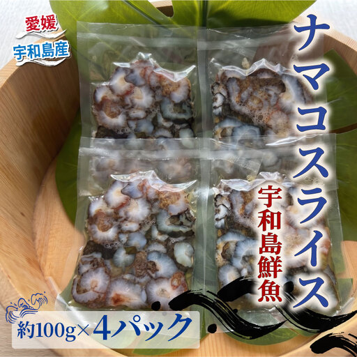 ナマコ スライス 100g × 4 パック 宇和島鮮魚 ナマコ