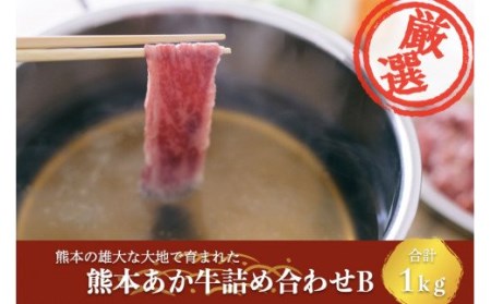 [矢野畜産]産地直送 詰め合わせBセット 切り落とし 500g すき焼き しゃぶしゃぶ 500g 計1kg くまもと 国産 熊本 阿蘇 和牛 あか牛 褐毛和種 あかげわしゅ 赤身 旨み凝縮 矢野畜産 にくやの 老舗 おうちごはん おうち時間 通販 贈答 ギフト 阿蘇の自然宝物