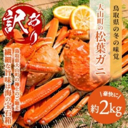【11月中旬以降順次発送】[冷凍]訳あり松葉ガニ約2kg詰め合わせ　 OM-13-1【配送不可地域：離島】【1745616】